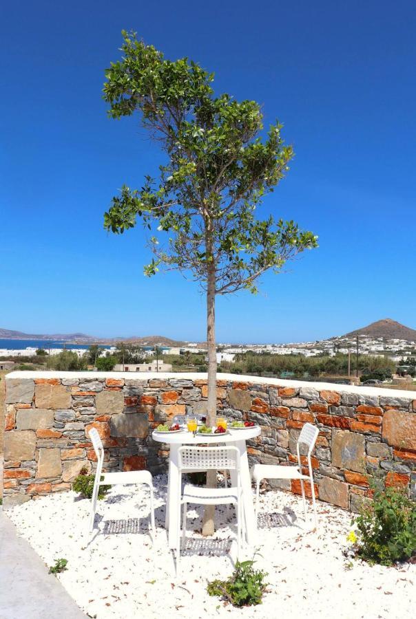 Villa The Nine Graces - Agia Anna - Option With Private Pool Or Hot Tub Esterno foto