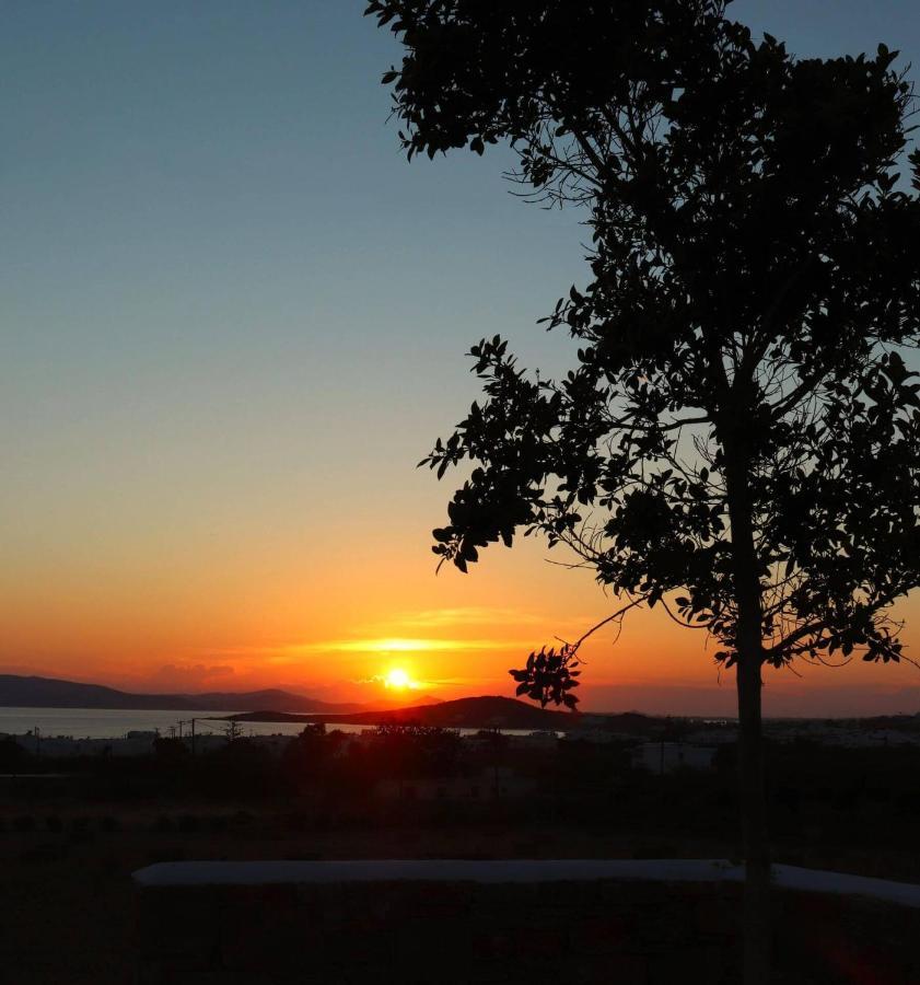 Villa The Nine Graces - Agia Anna - Option With Private Pool Or Hot Tub Esterno foto