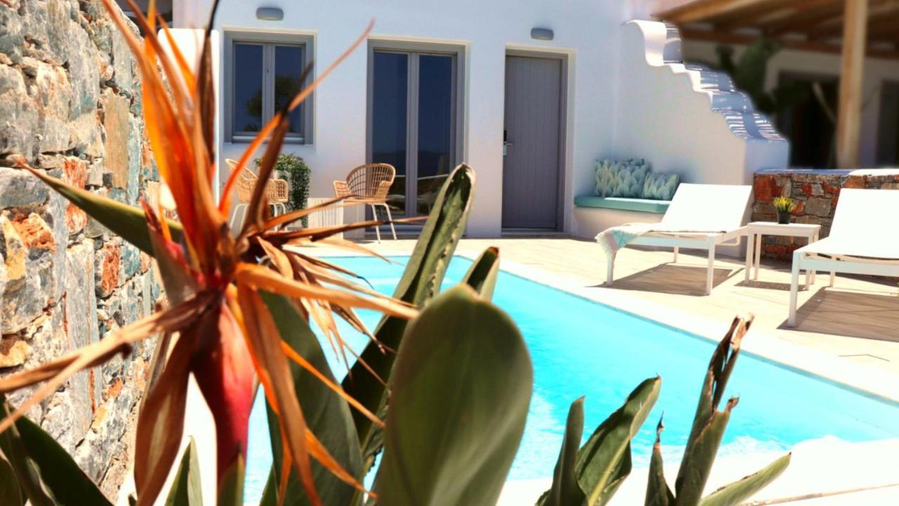 Villa The Nine Graces - Agia Anna - Option With Private Pool Or Hot Tub Esterno foto