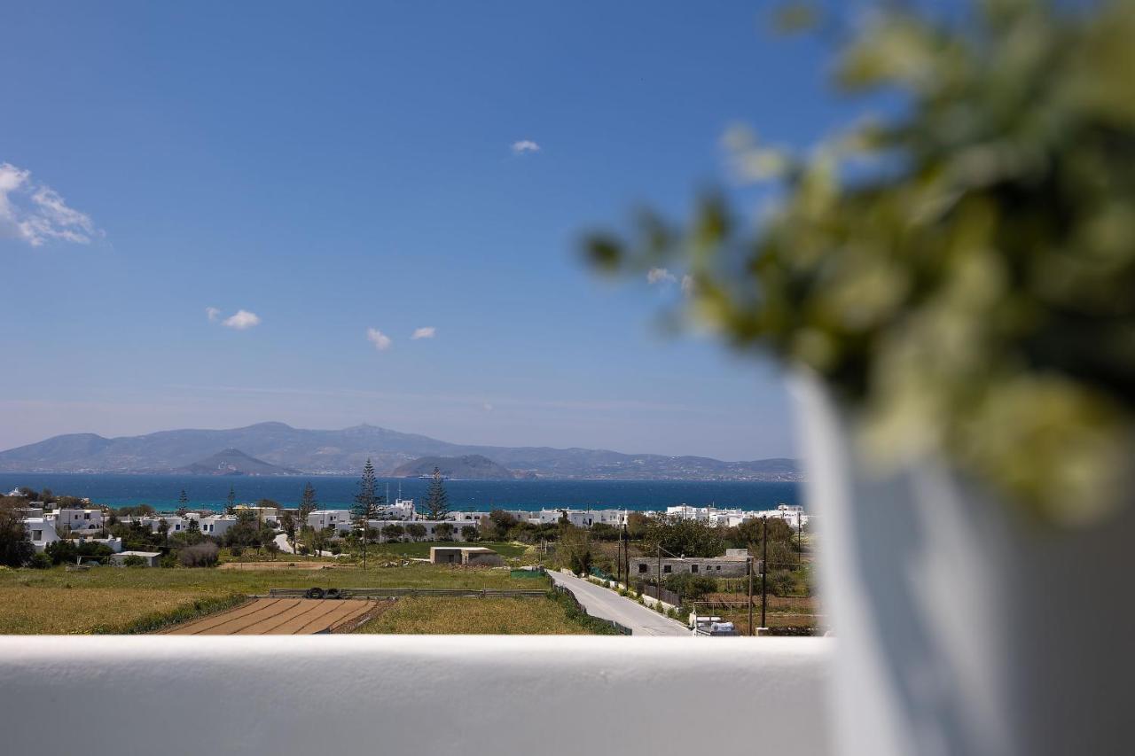 Villa The Nine Graces - Agia Anna - Option With Private Pool Or Hot Tub Esterno foto
